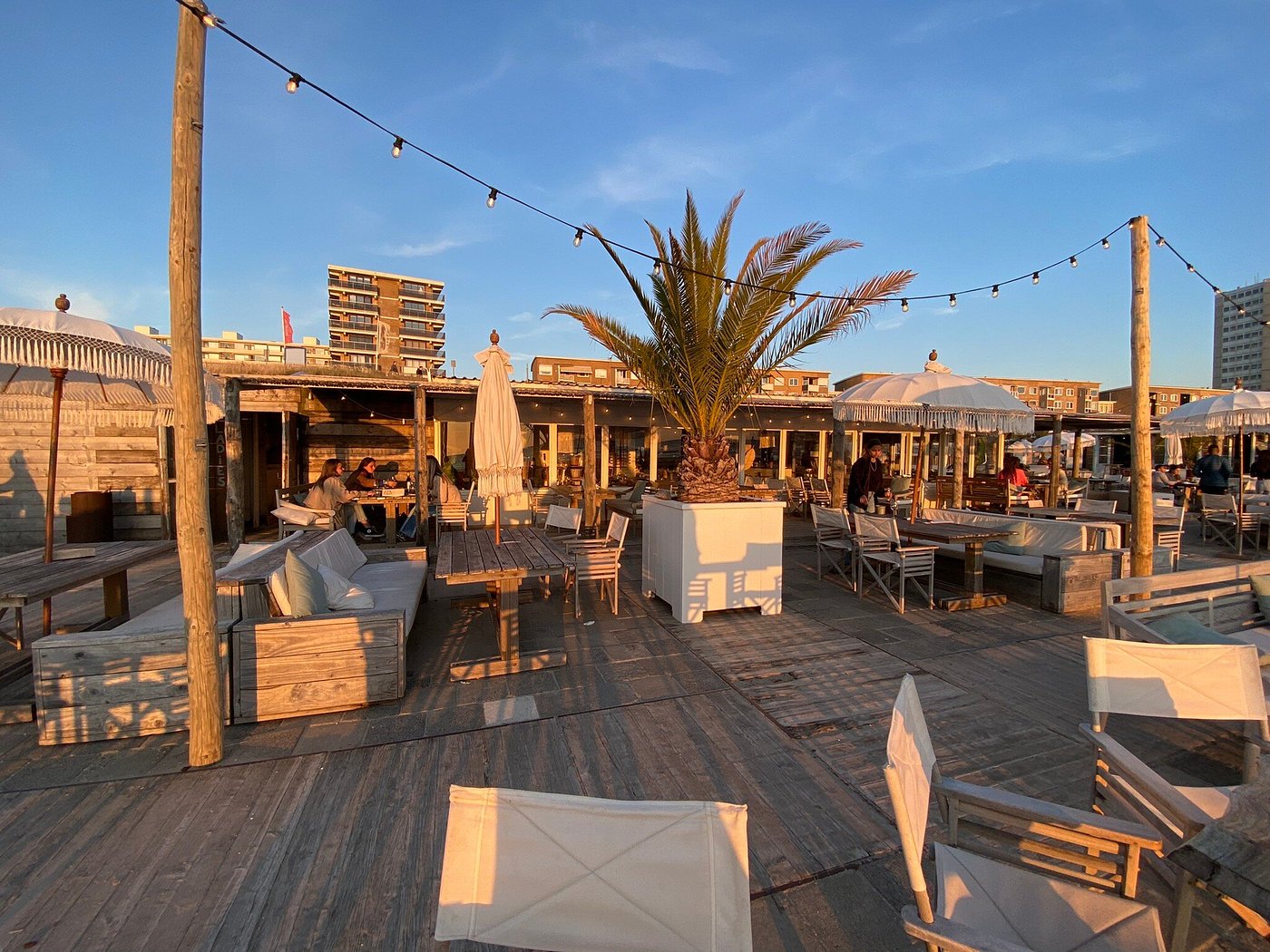 Noosa in Zandvoort