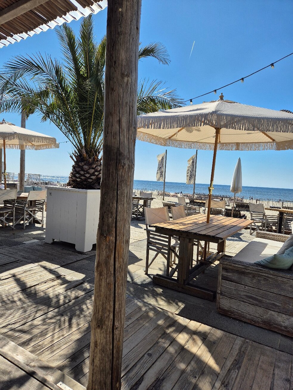 Noosa in Zandvoort, foto 2