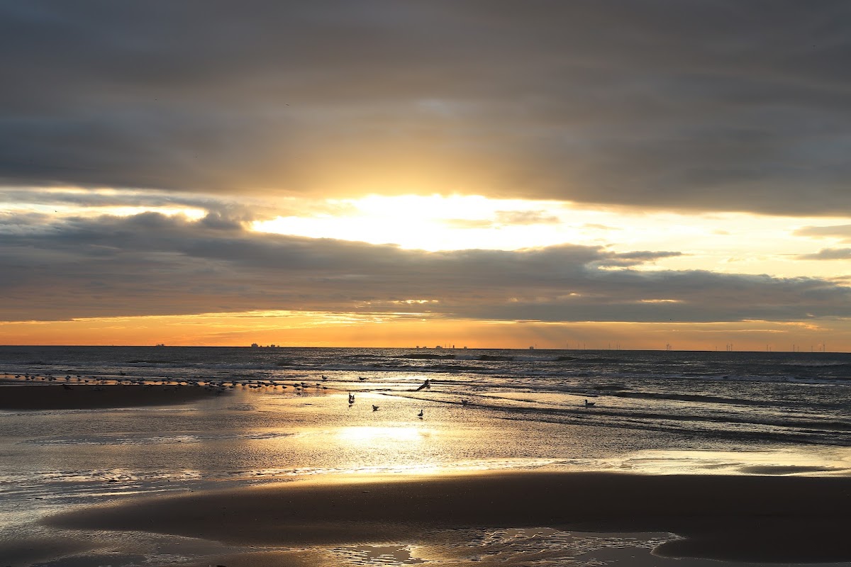 Strand bij Noordwijk
