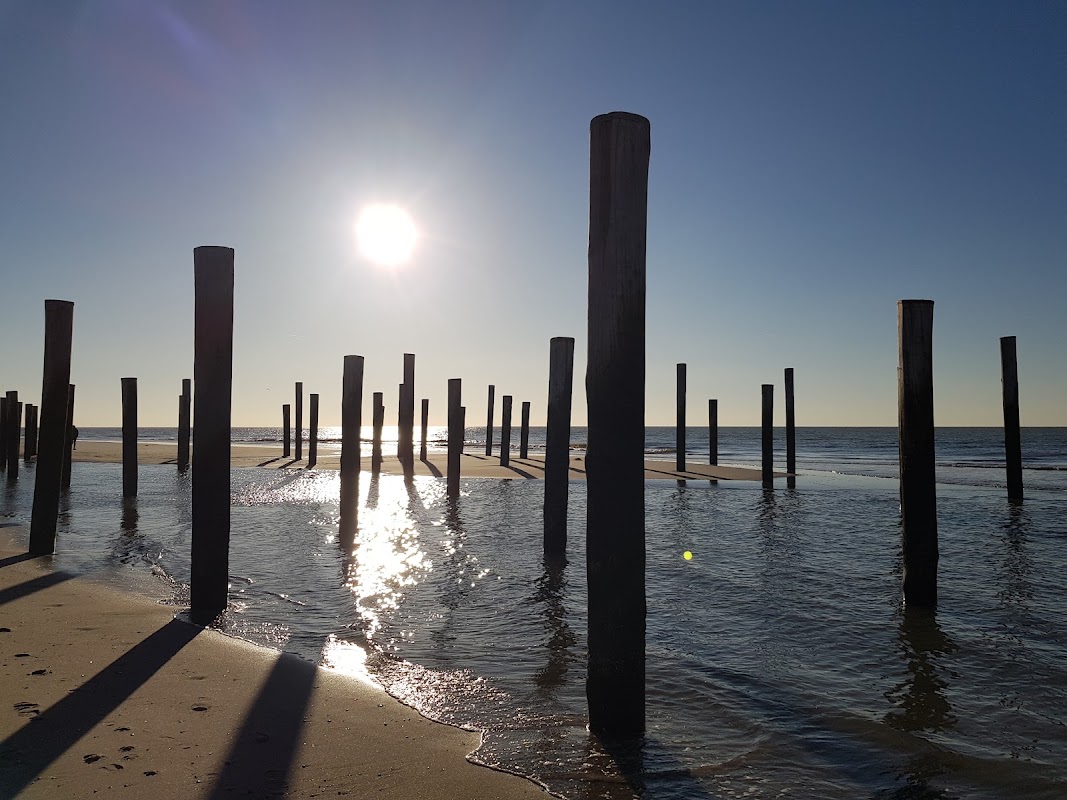 Strand bij Petten