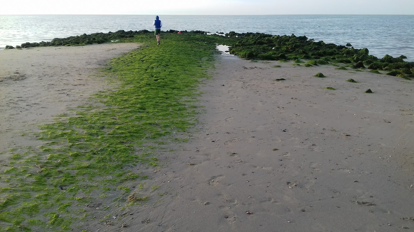 Strand bij Scharendijke