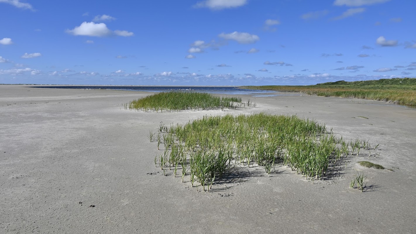 Strand bij Schiermonnikoog