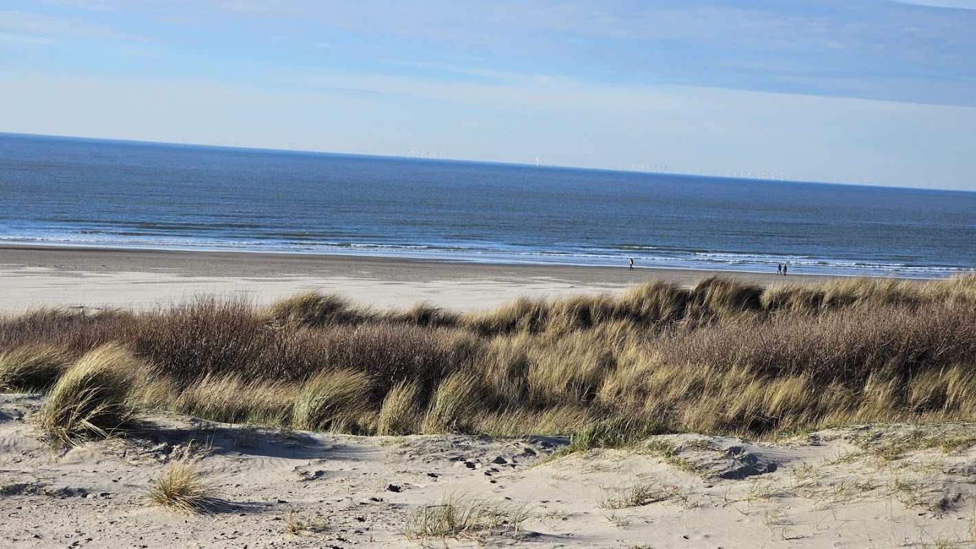 Strand bij Wijk aan Zee