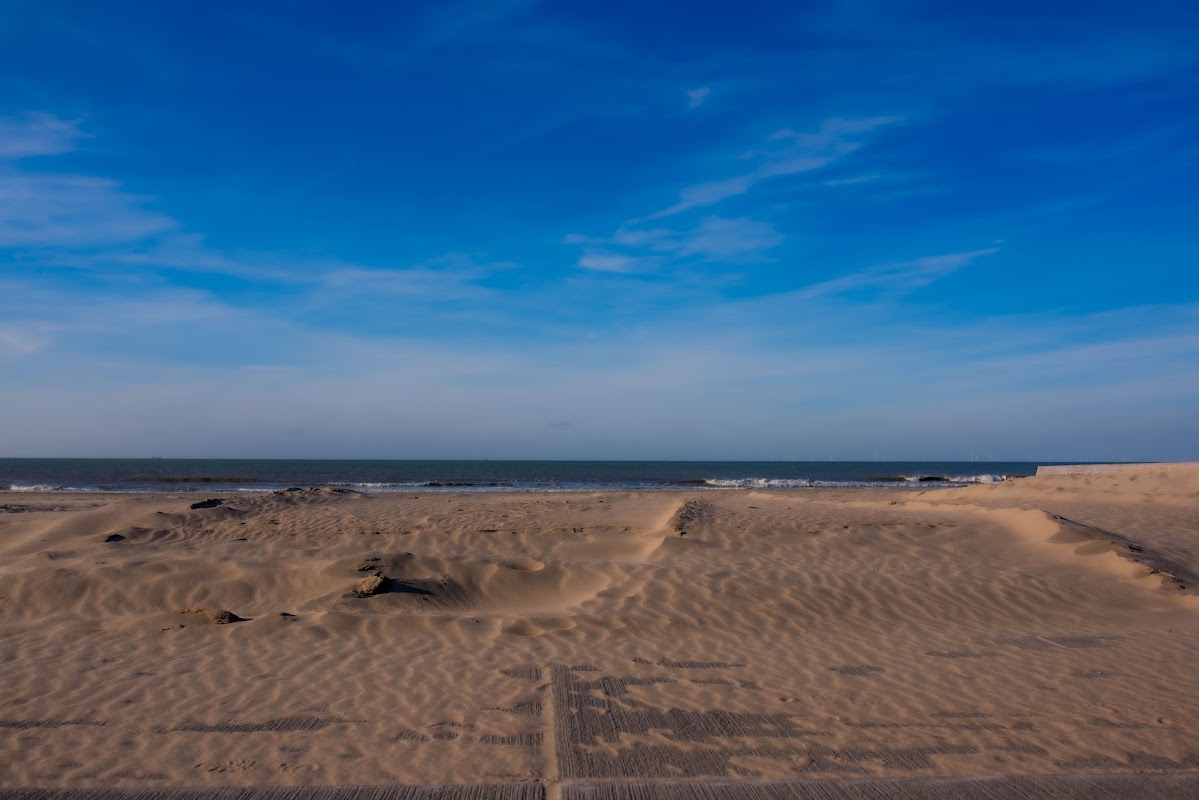 Pep in Hoek van Holland, foto 5