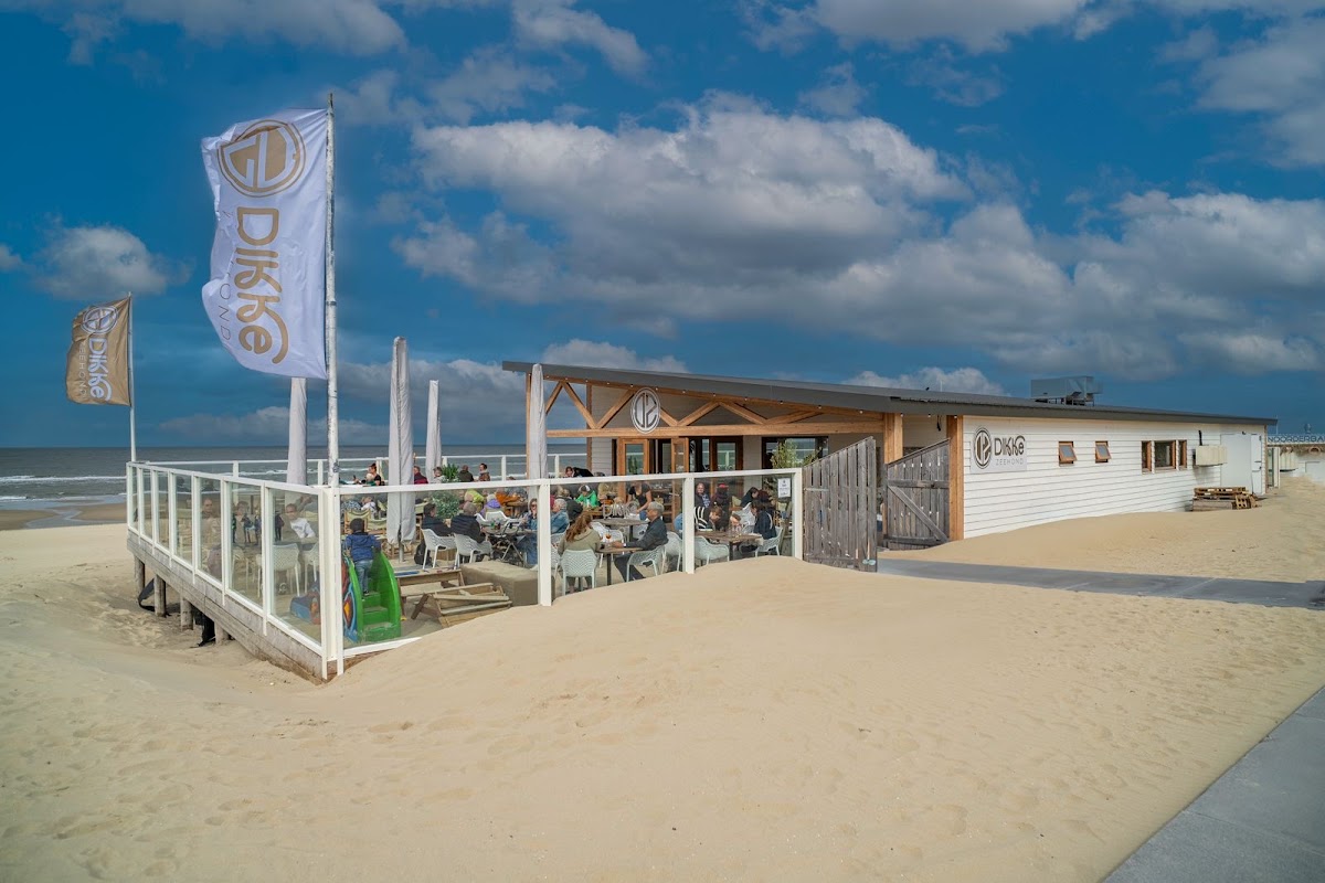 Dikke Zeehond - Strandpaviljoen Paal 20 in De Koog (Texel), foto 2