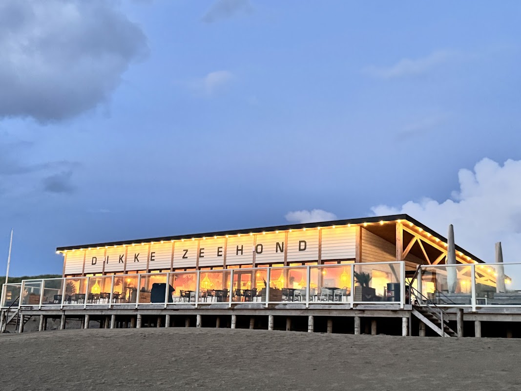 Dikke Zeehond - Strandpaviljoen Paal 20 in De Koog (Texel), foto 3