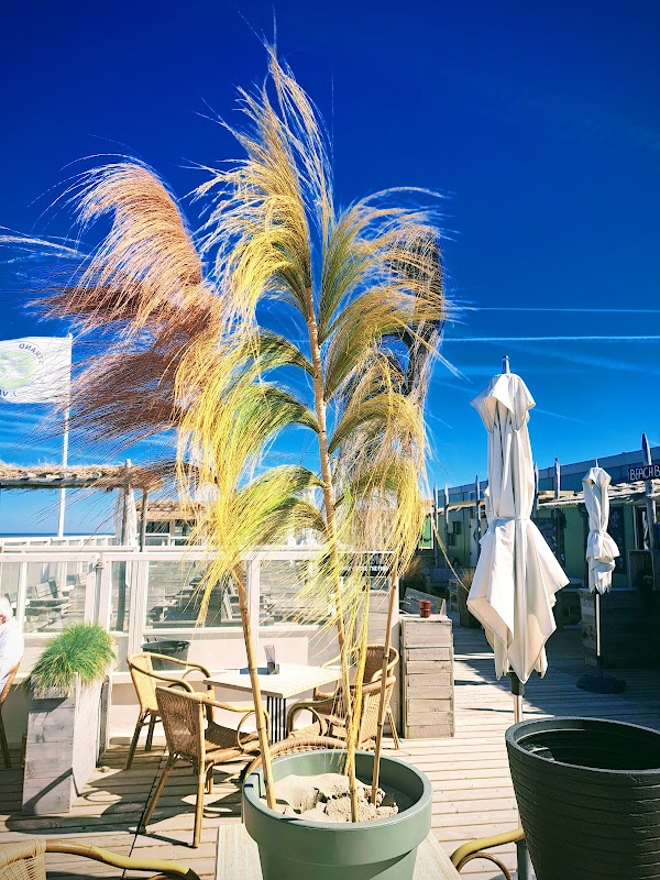 Strandpaviljoen Van Roon in Noordwijk