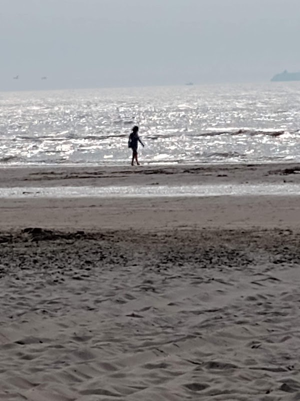 Beachclub Oost 3 in Wijk aan Zee, foto 2