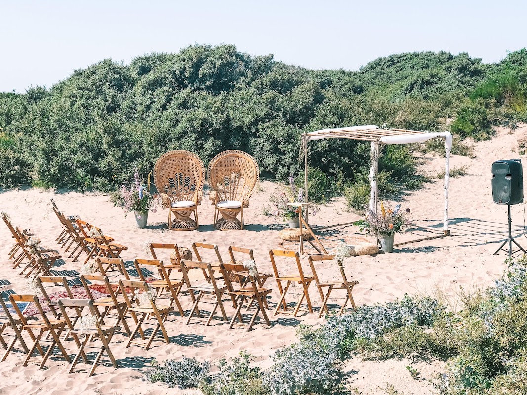 Pele Surf Shack in Hoek van Holland