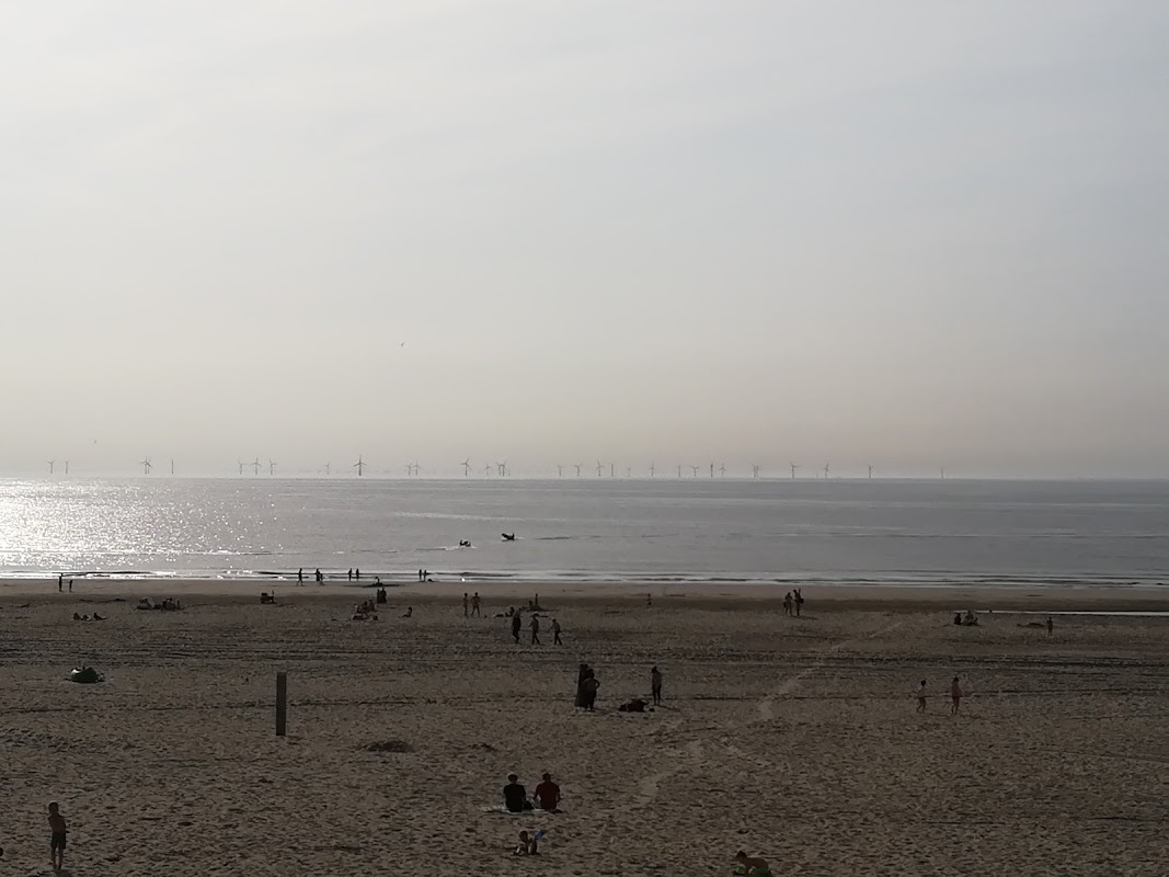 De Zilvermeeuw in Egmond, foto 5