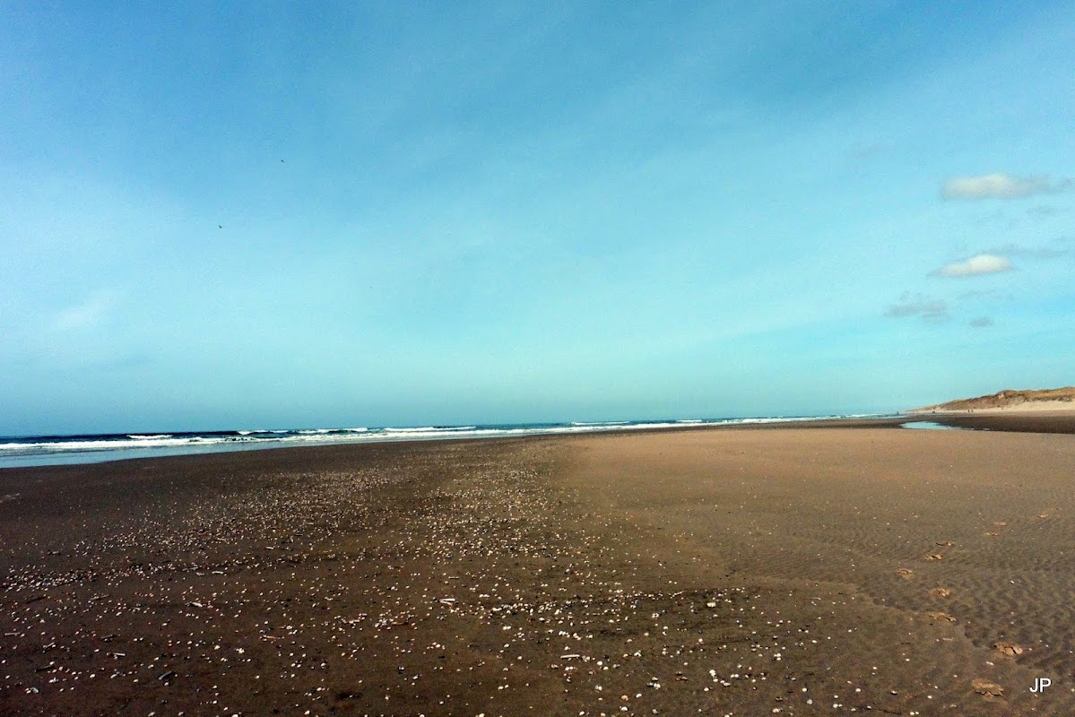 Strandpavilioen Zilte Zucht in Callantsoog, foto 3