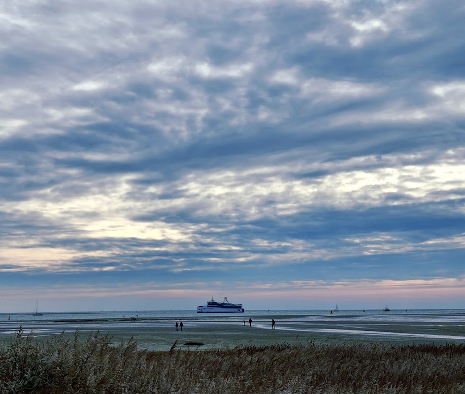 Paviljoen De Walvis in Terschelling, foto 2