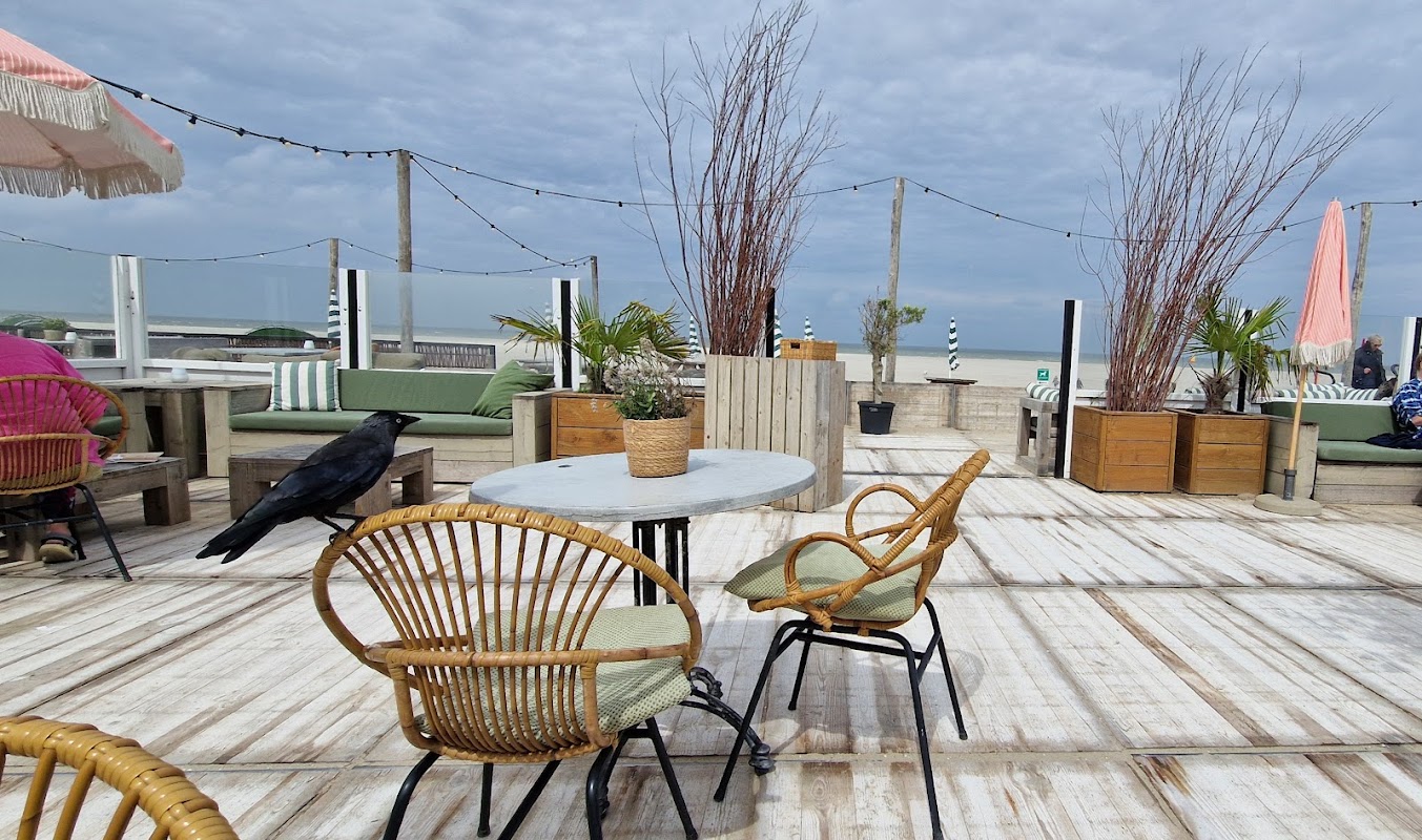 Beachclub BIRDS in Kijkduin, foto 5