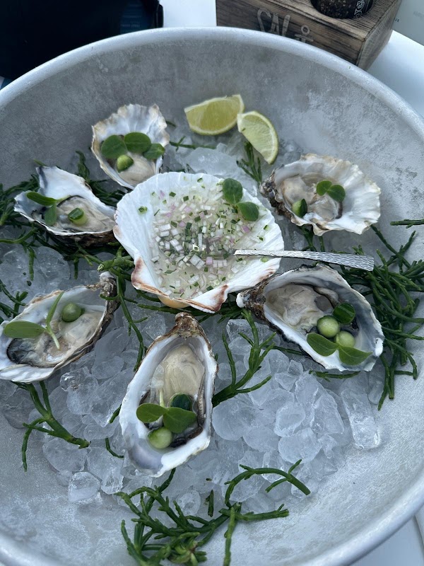 Salt Seafood Restaurant in Noordwijk aan Zee, foto 4