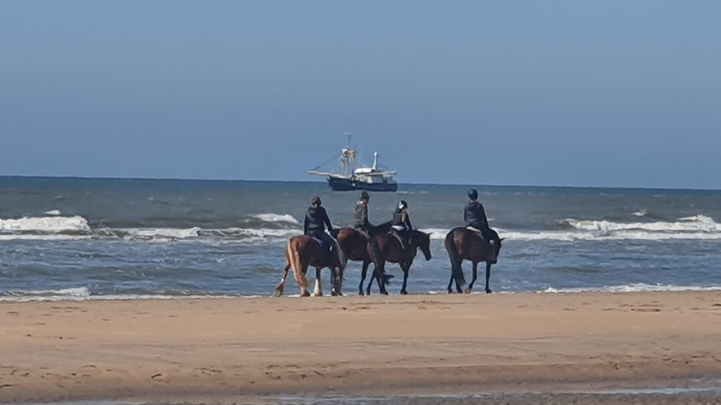 De Zeespiegel in Noordwijk, foto 4