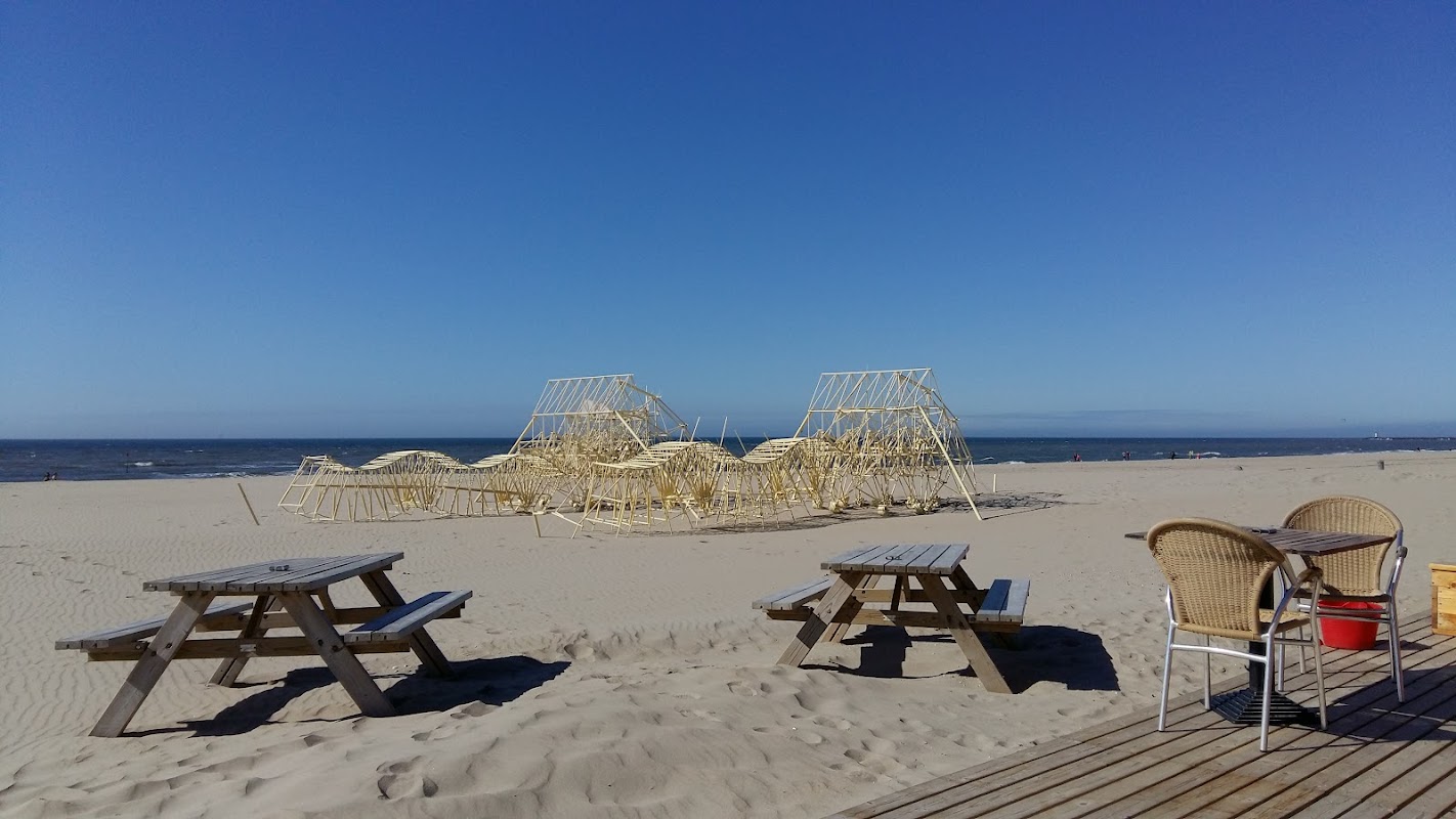 Kookaburra Beach in Scheveningen, foto 3