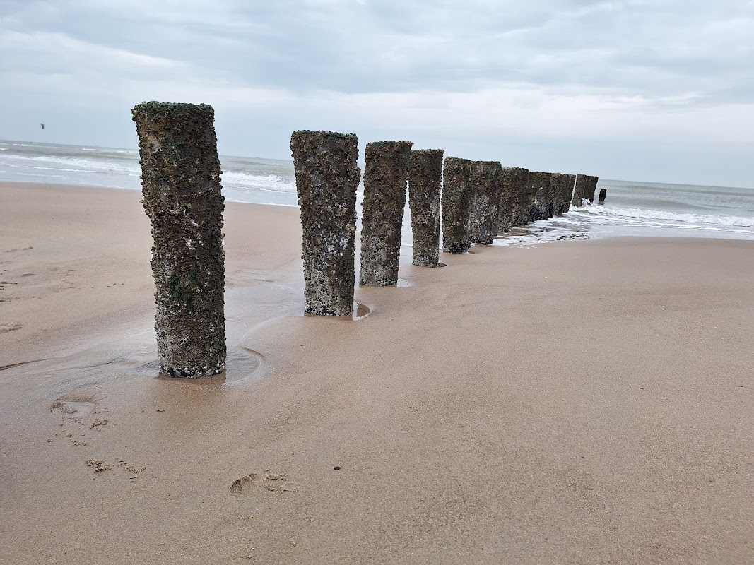 De Zeemeeuw in Cadzand-Bad
