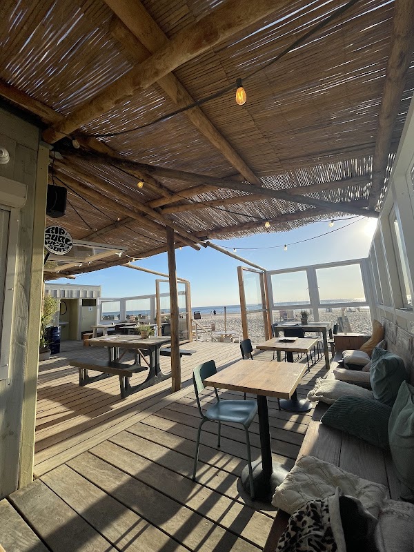 Backyard Beach House in Egmond aan Zee, foto 3