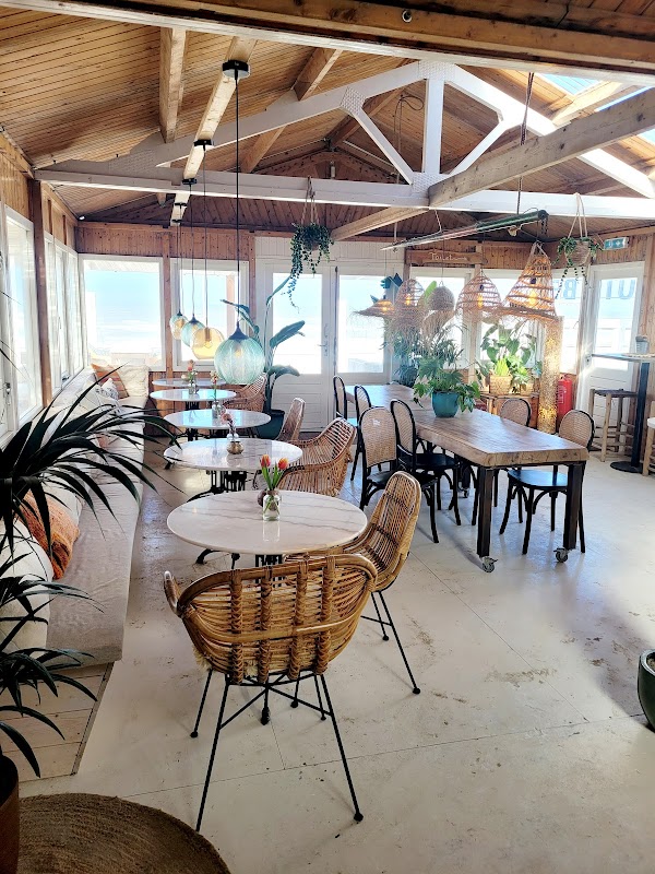 Bodhi Beach in Zandvoort
