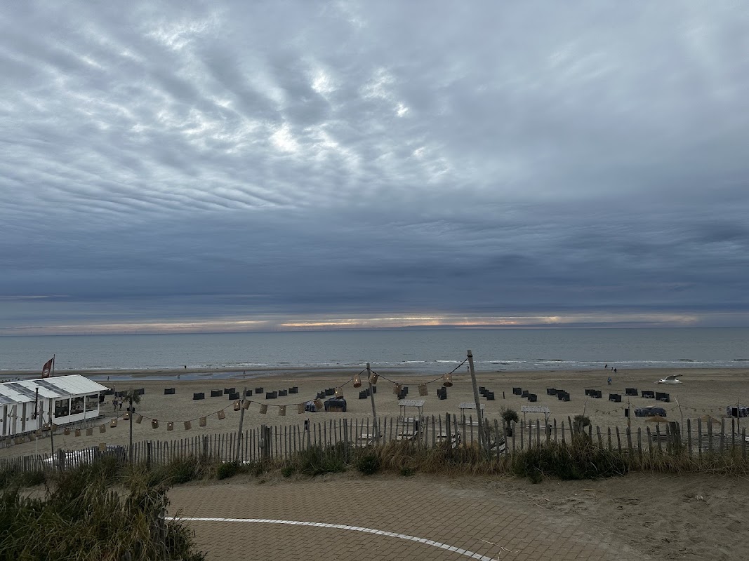 Bodhi Beach in Zandvoort, foto 4