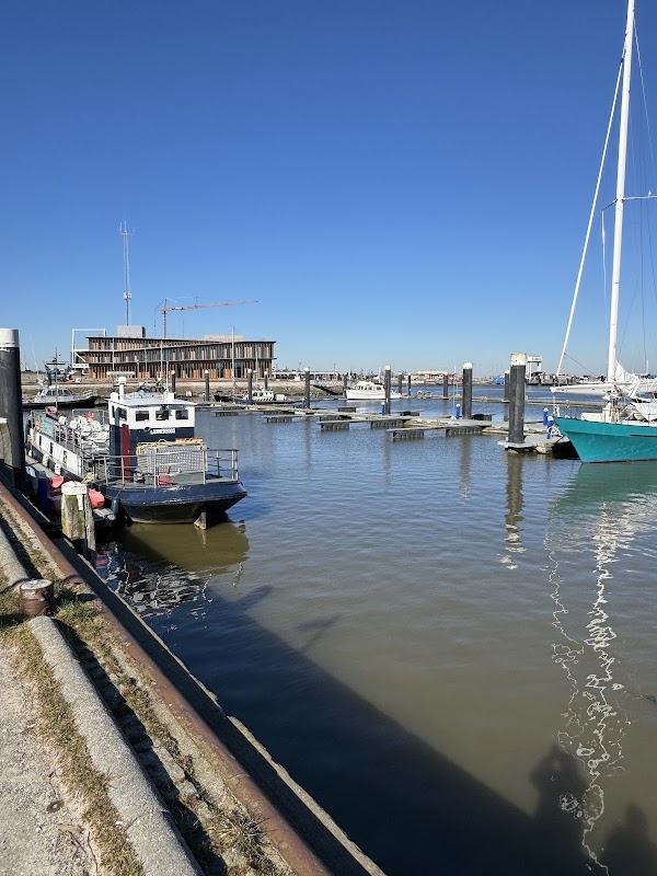Restaurette Schierzicht in Lauwersoog, foto 4