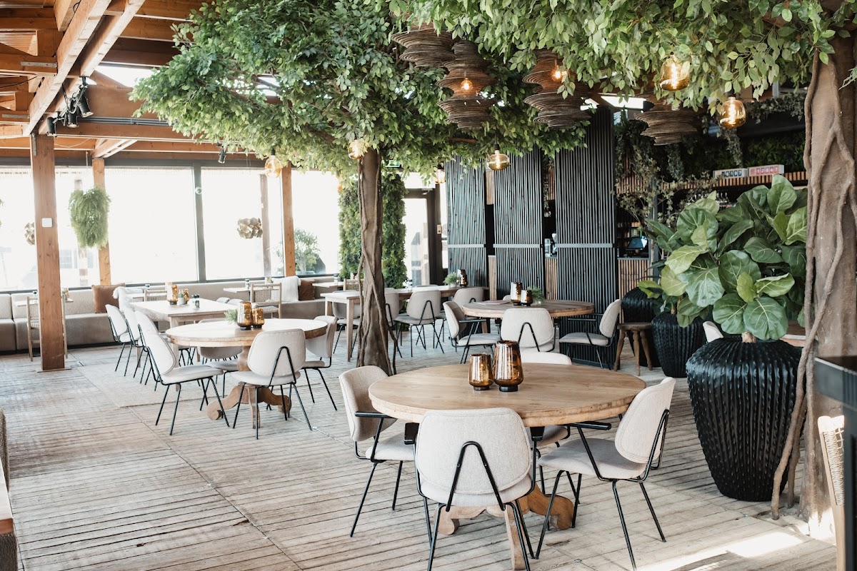 Beachclub Far Out in Zandvoort