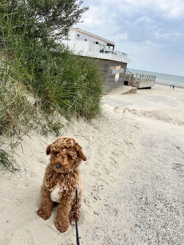 Strandpaviljoen de Boekanier in Cadzand-Bad, foto 5