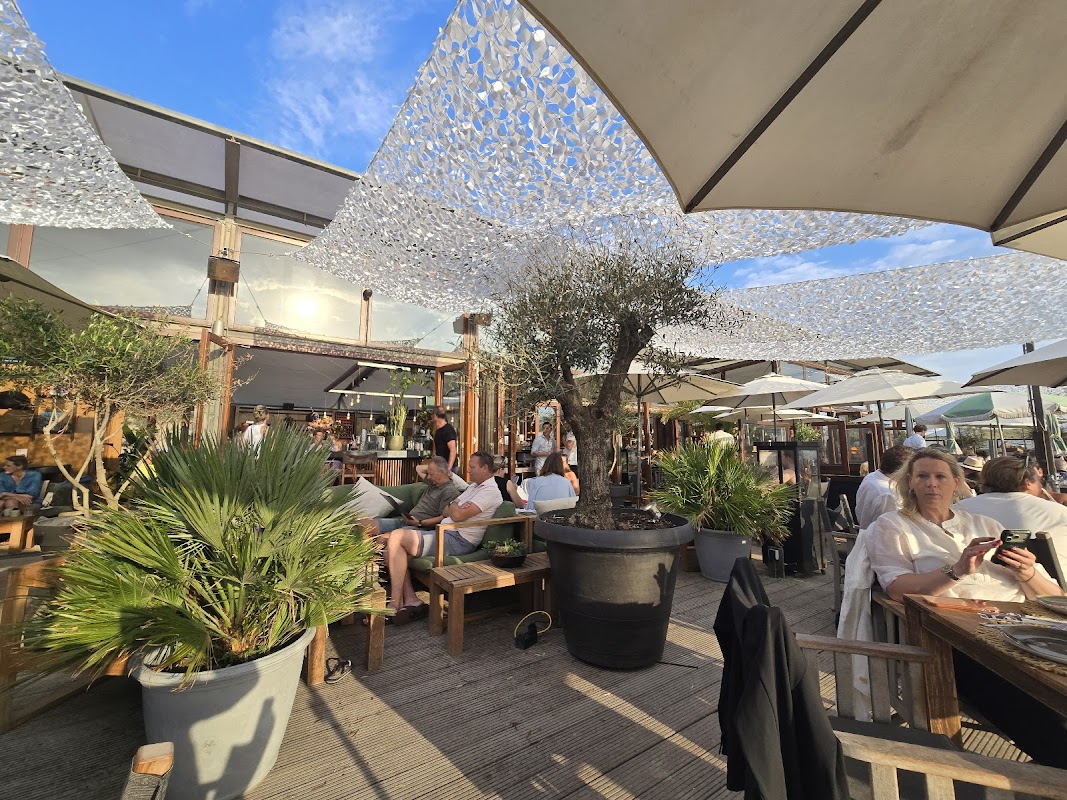 Bries Noordwijk in Noordwijk, foto 2