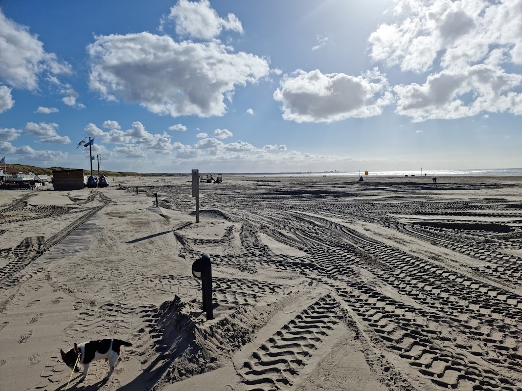 Beachclub Makai in IJmuiden aan Zee, foto 4