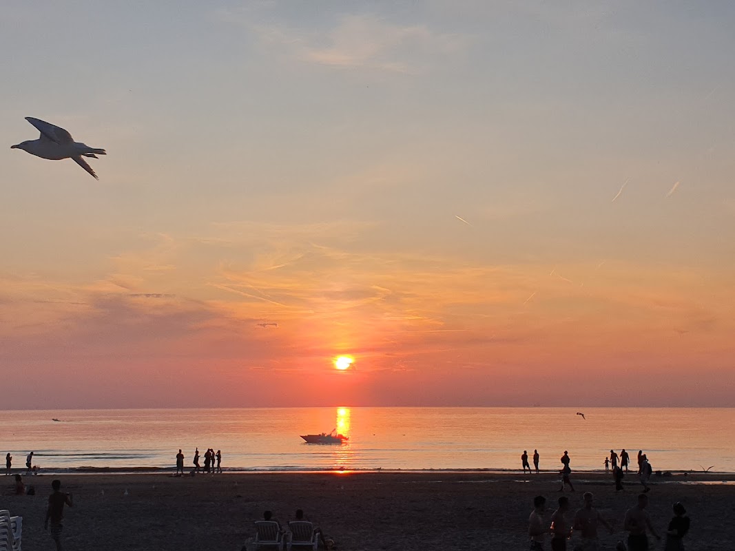 Beachclub Fuel in Bloemendaal, foto 3