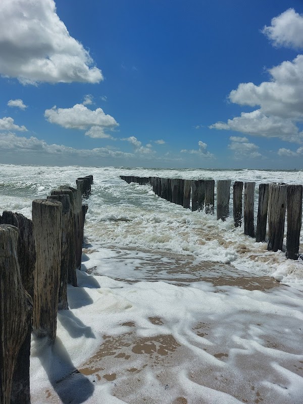 Strandpaviljoen De Strandzot in Zoutelande, foto 5