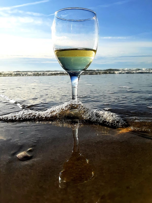 t Gele Tentje in Wijk aan Zee, foto 3