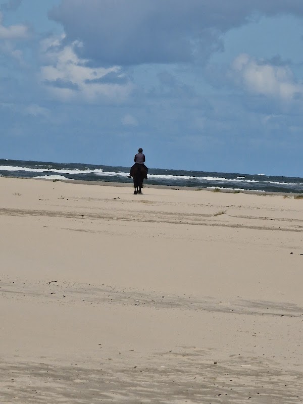 Strandpaviljoen Kaap Hoorn in Terschelling, foto 4