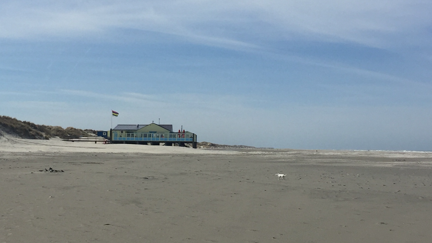 Heartbreak Hotel in Terschelling, foto 4