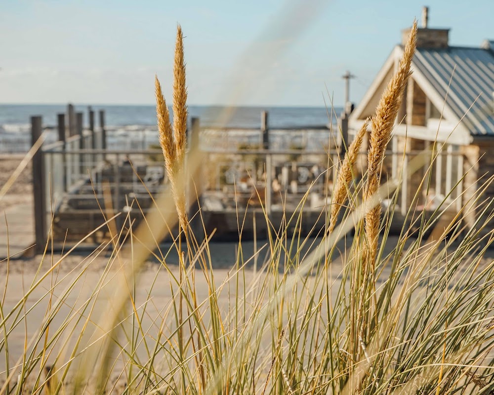 Surf en Beach in Katwijk, foto 4