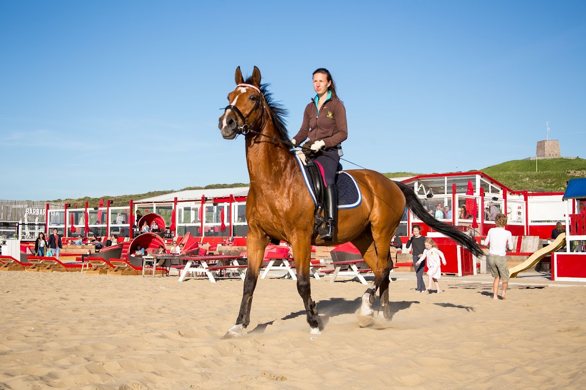 Culpepper in Scheveningen, foto 5