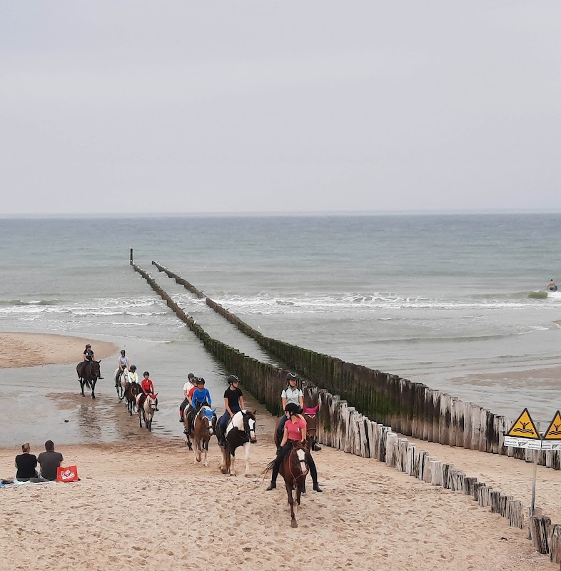 Oase Domburg in Domburg, foto 3