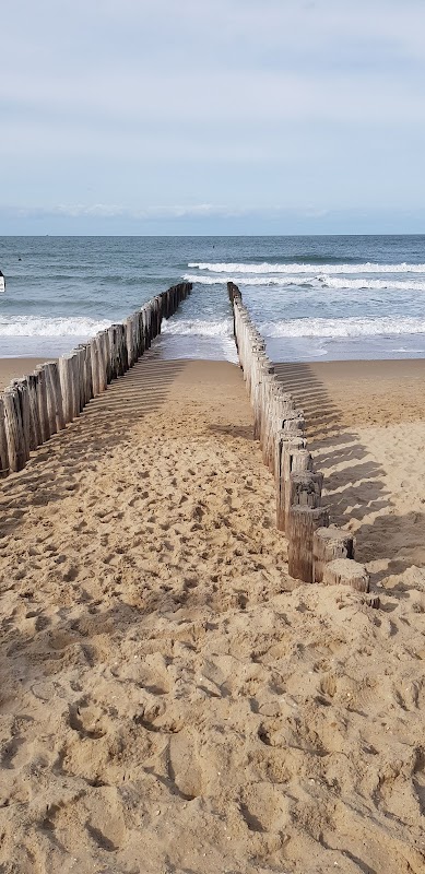 Oase Domburg in Domburg, foto 5