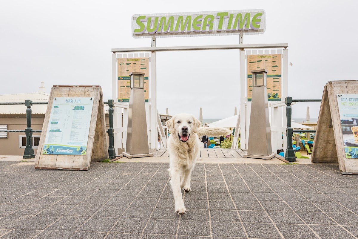 Strandpaviljoen SummerTime Scheveningen in Scheveningen, foto 3