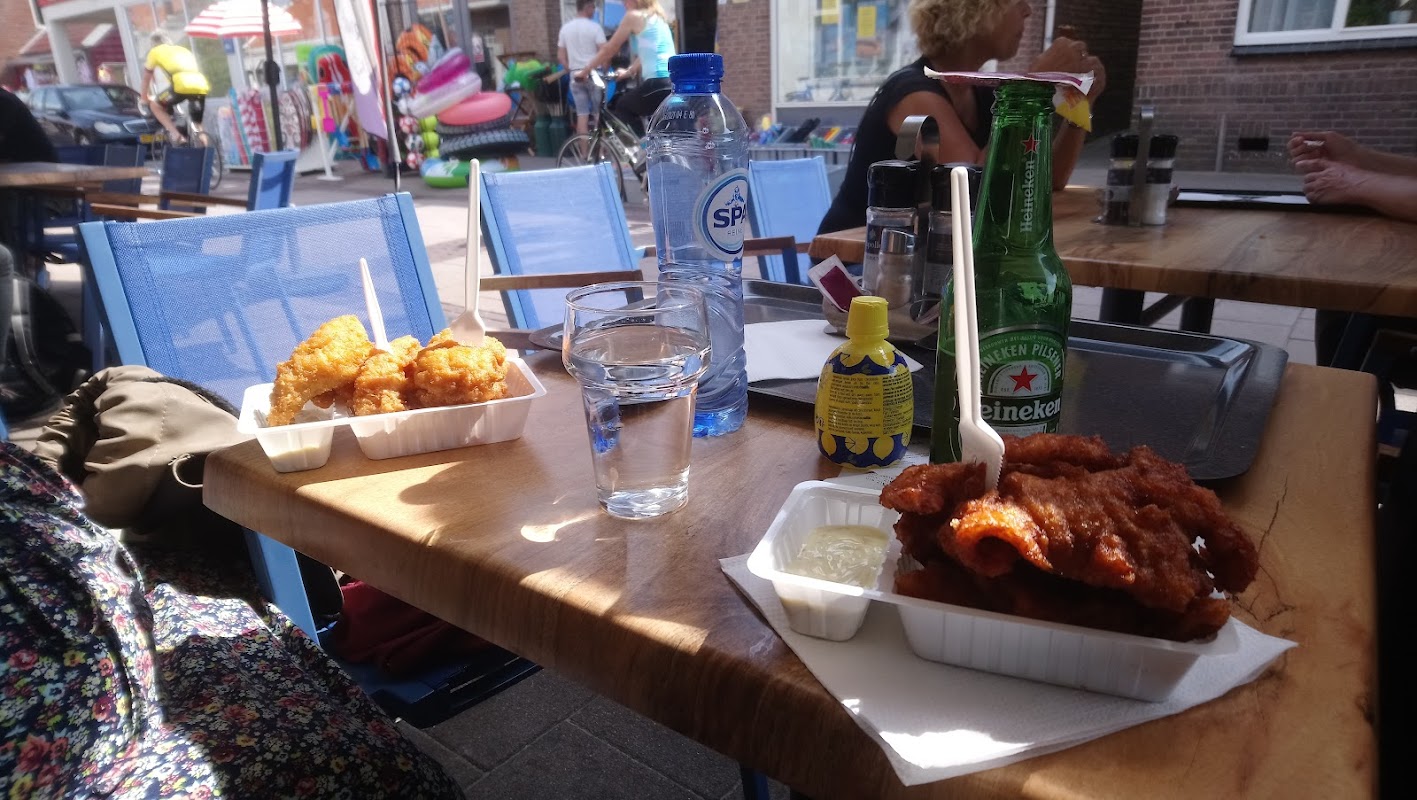 Vistaria 't Harinkje in Zoutelande, foto 3