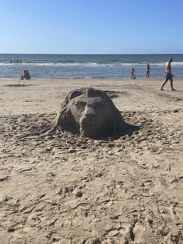 Strandpaviljoen De Stern in Callantsoog, foto 2
