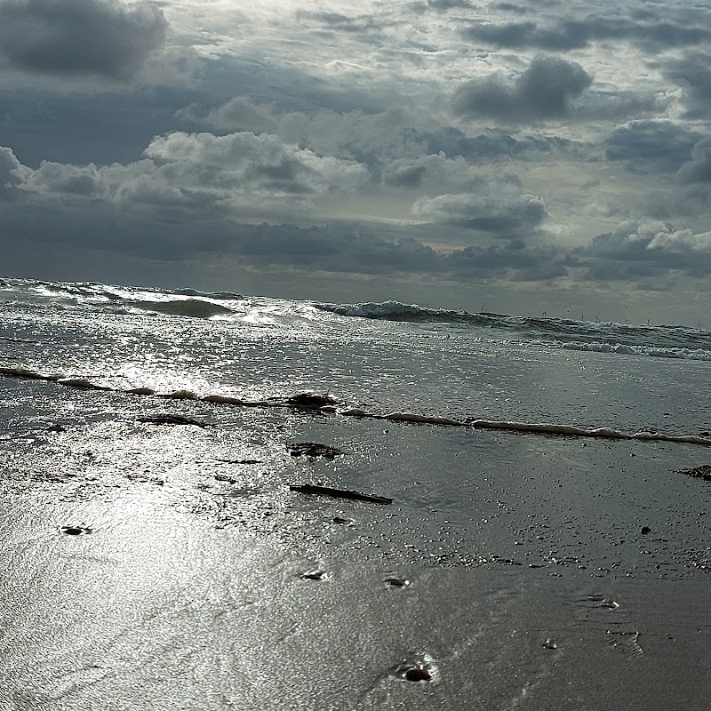 Restaurant Bad Egmond in Egmond, foto 4