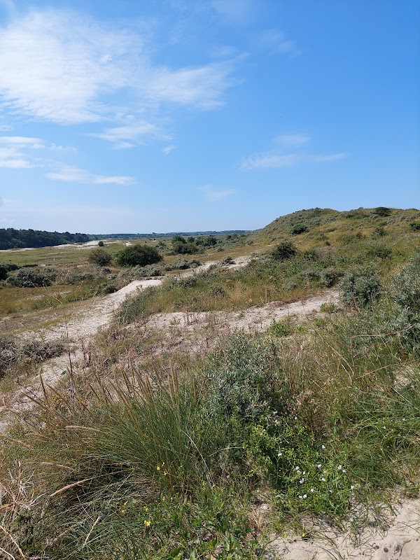 Uitkijkpunt Strand Renesse in Renesse, foto 5