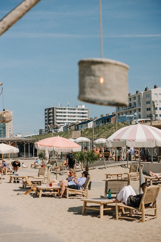 NIUS Beach House in Zandvoort